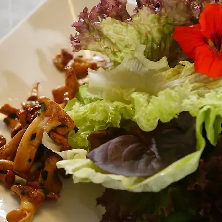 & Brauerei-gasthof Neuwirt 2* Neuburg an Der Donau